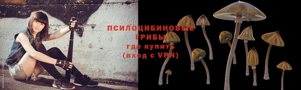 марки nbome Алзамай