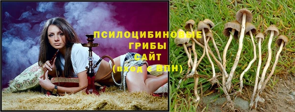 ПСИЛОЦИБИНОВЫЕ ГРИБЫ Алексин