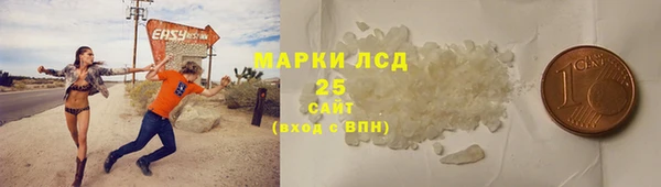 ПСИЛОЦИБИНОВЫЕ ГРИБЫ Алексин