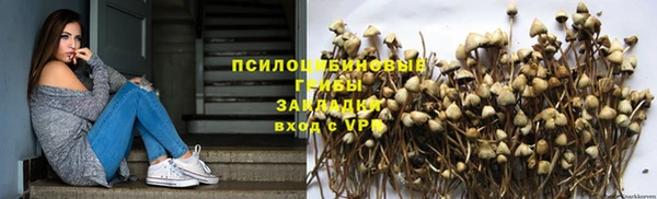 ПСИЛОЦИБИНОВЫЕ ГРИБЫ Алексин