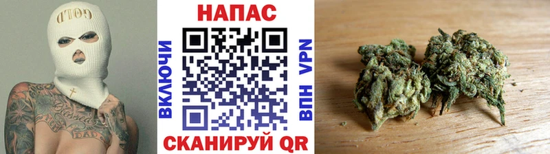 хочу   Камызяк  мориарти какой сайт  Бошки марихуана THC 21% 